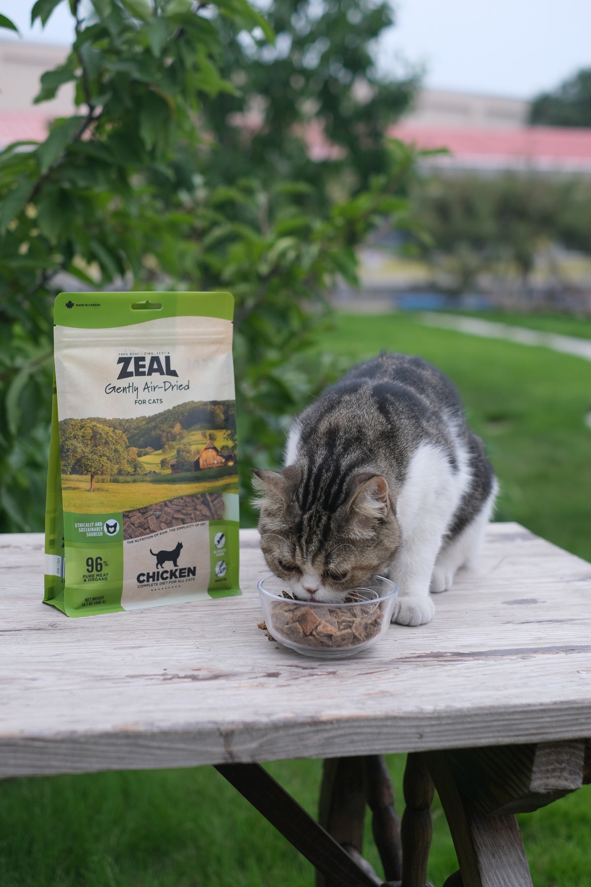 Air-Dried Cat Food