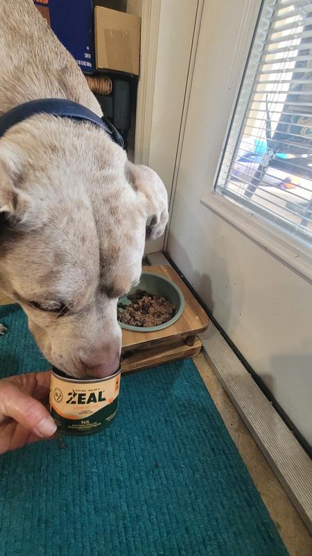 ZEAL New Zealand Lamb Recipe High Protein wet food