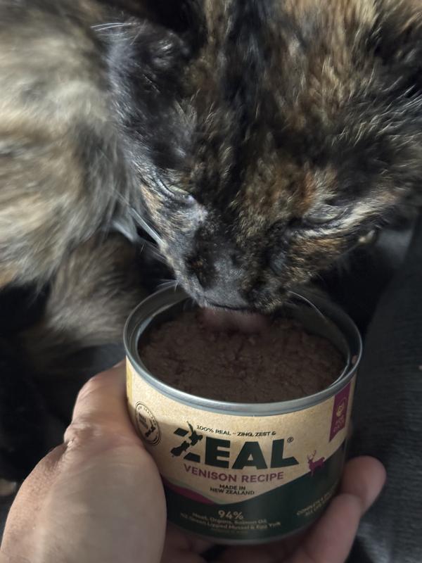 Cat LOVES it!
