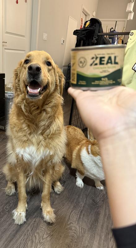 My Dog Can’t Get Enough!