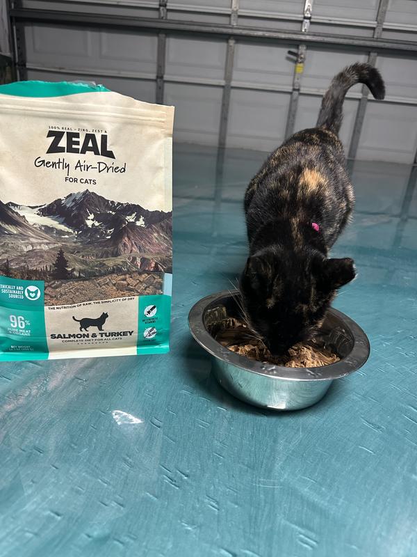Premium dry cat food