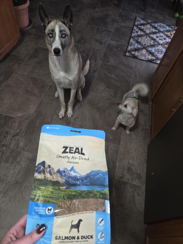 Younger and Older Cat Approved