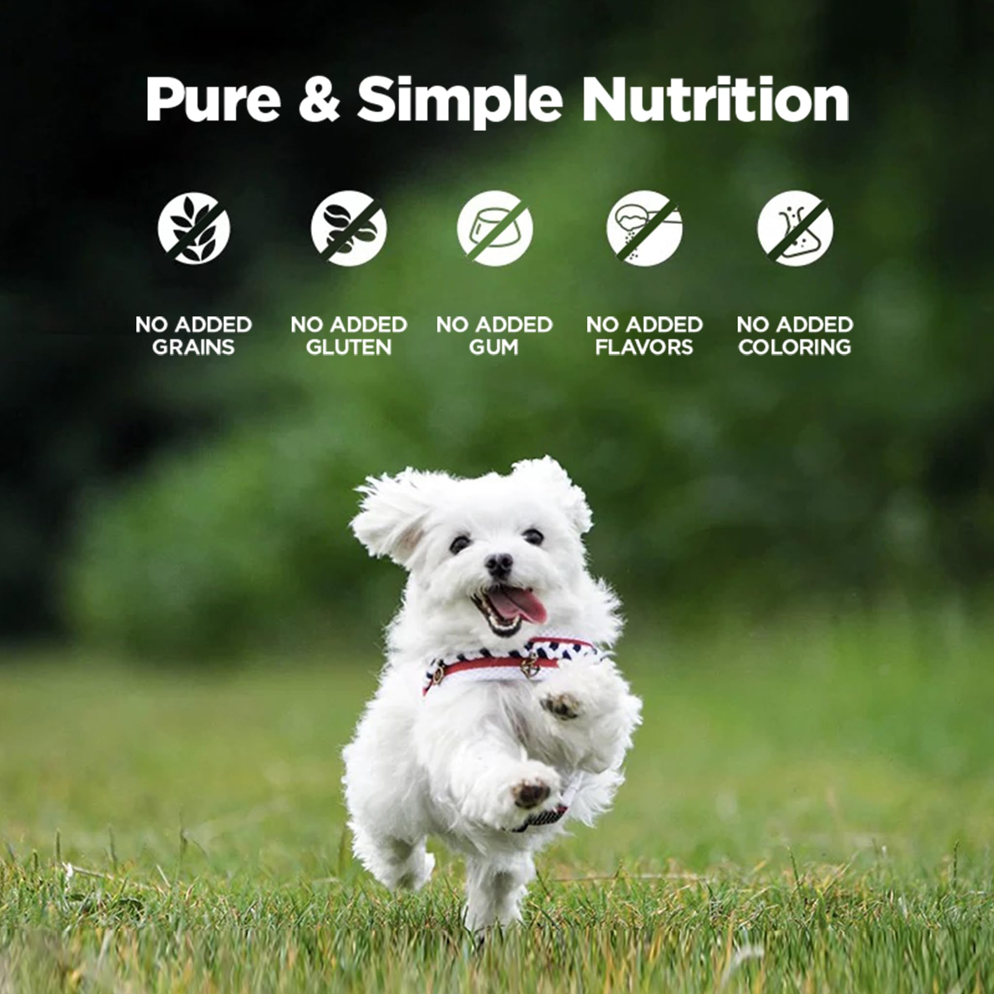 Chicken Recipe Wet Food For Dogs