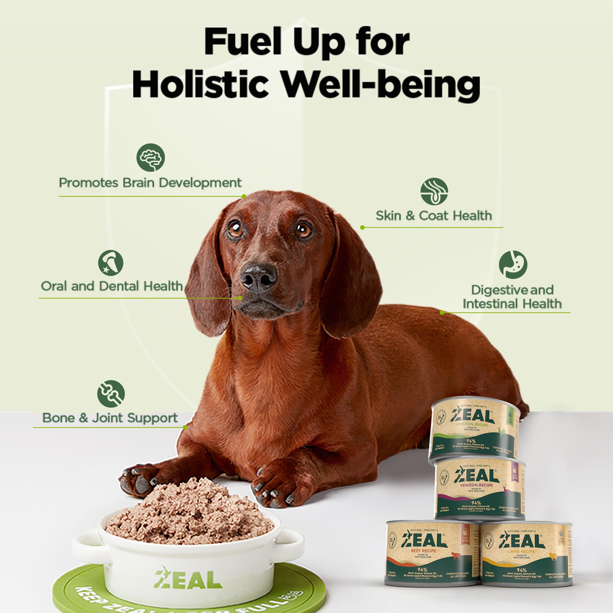 Chicken Recipe Wet Food For Dogs