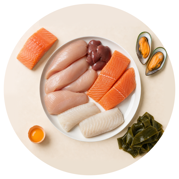 Chicken & Salmon
