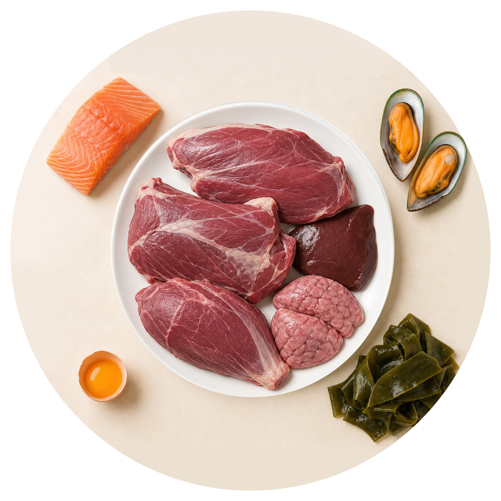 Lamb