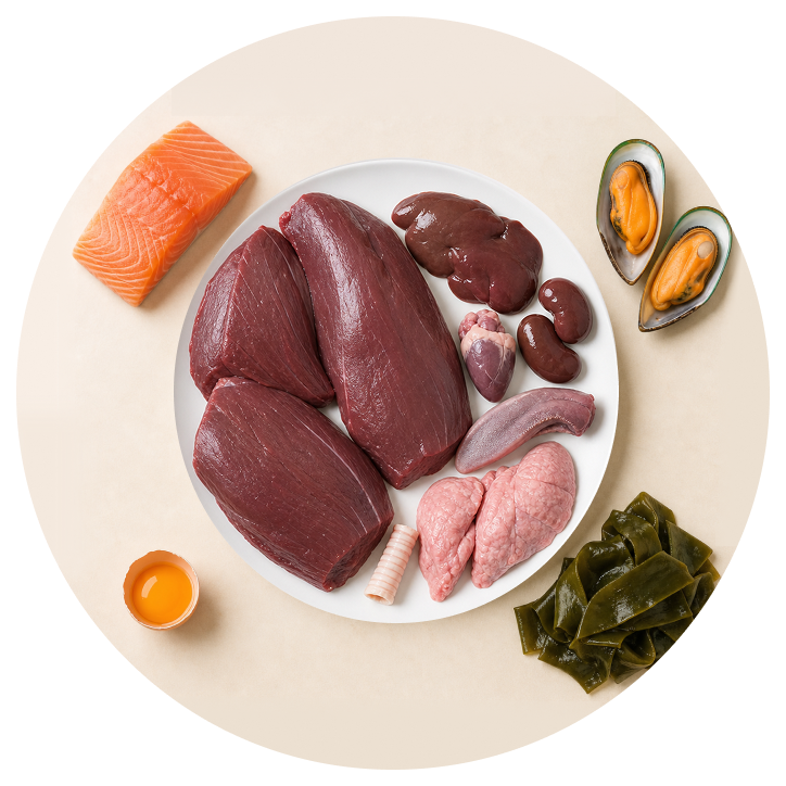Venison