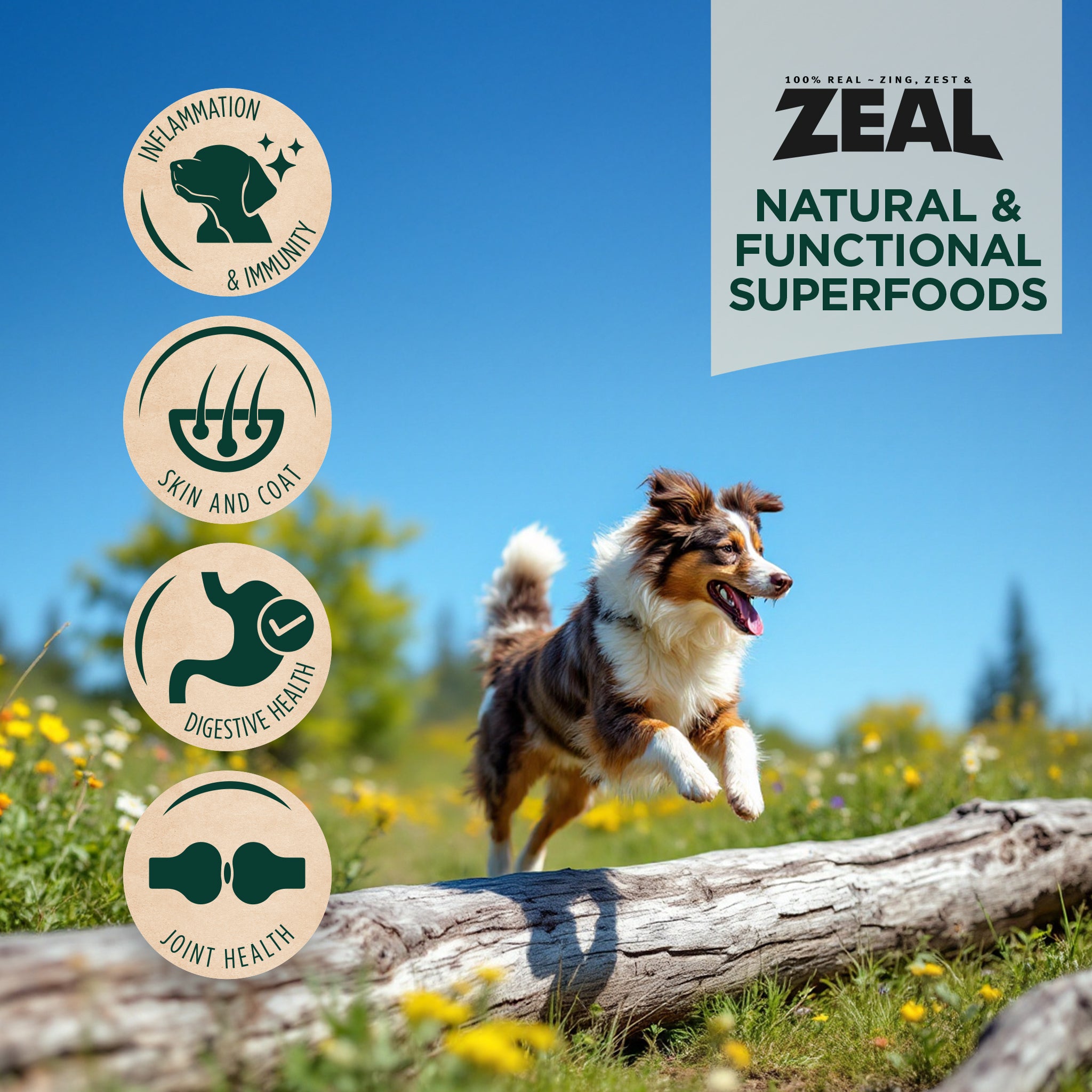 Beef Recipe Air-Dried Food For Dogs