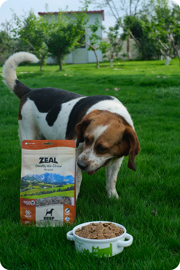 Air-Dried Dog Food