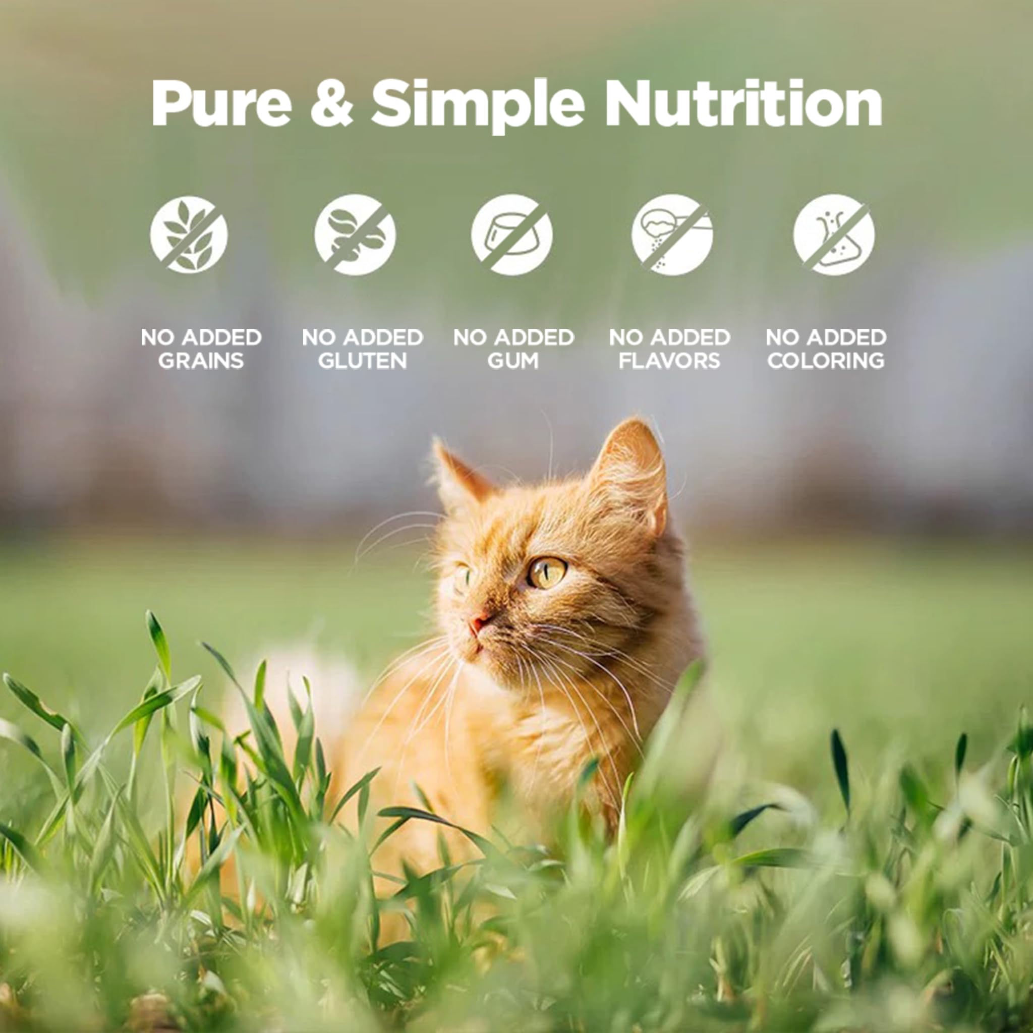 Venison Recipe Wet Food For Cats