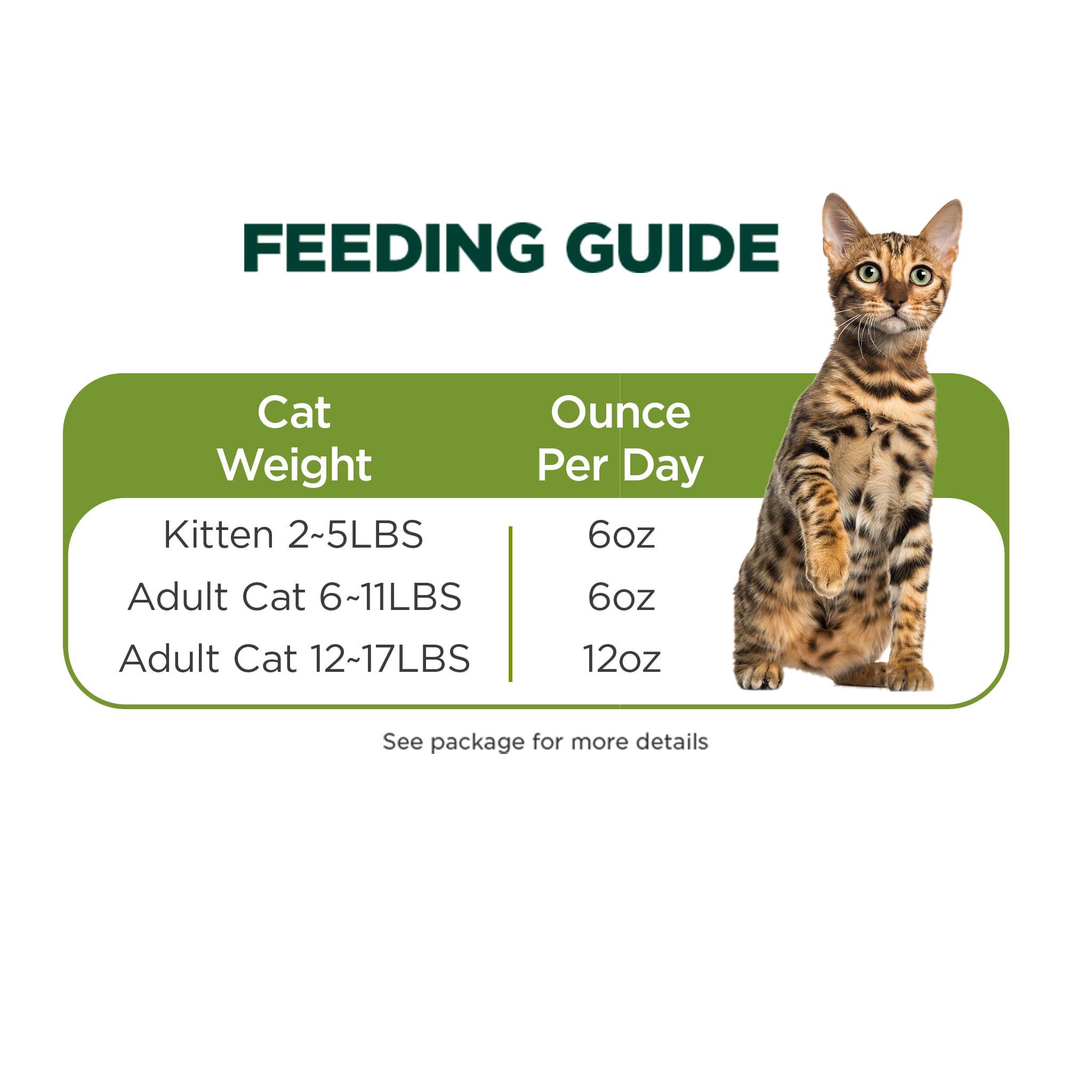 Venison Recipe Wet Food For Cats