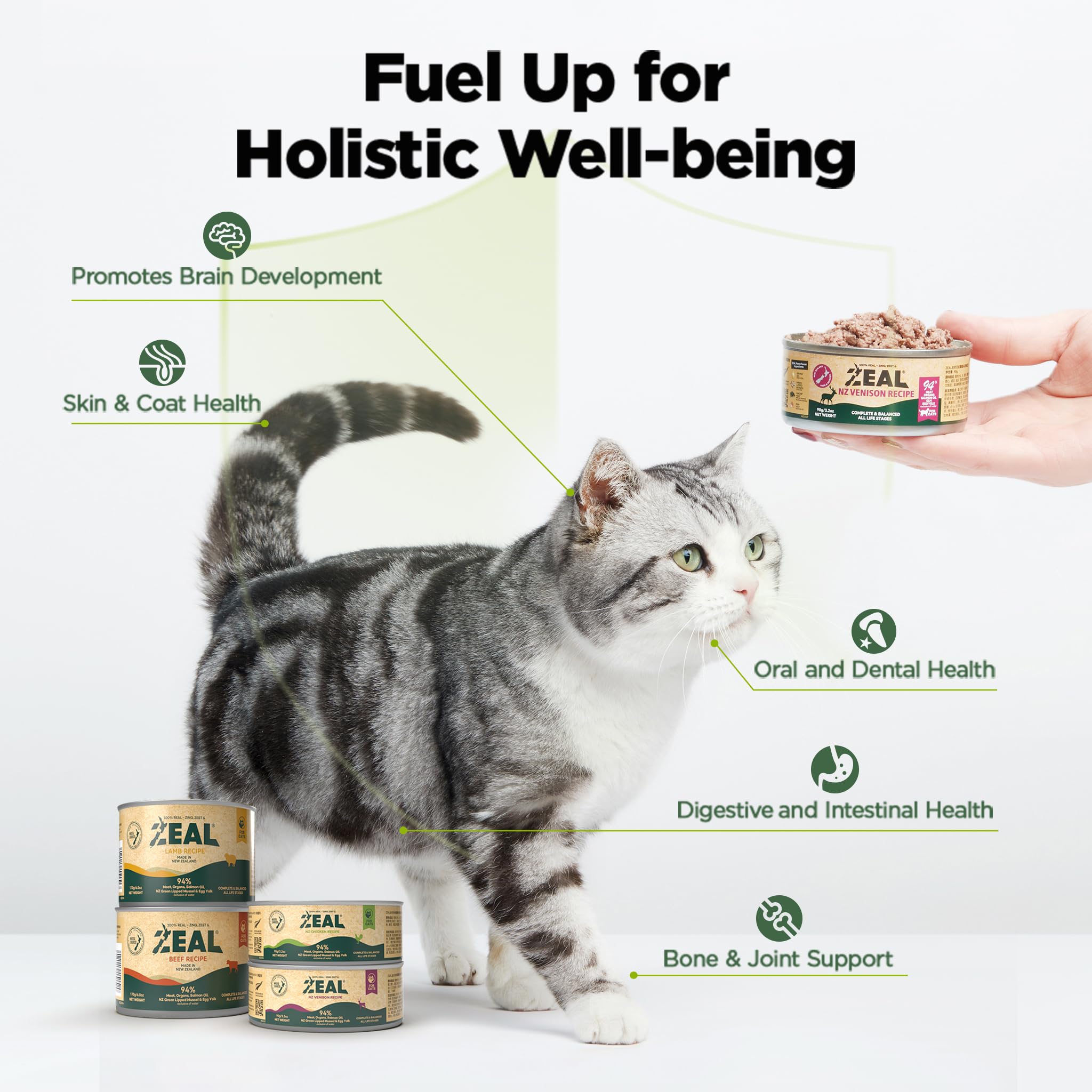Venison Recipe Wet Food For Cats
