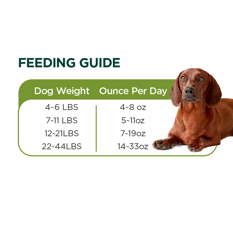 Chicken Recipe Wet Food For Dogs