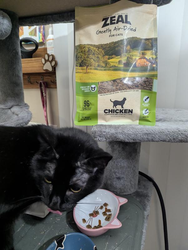 Younger and Older Cat Approved