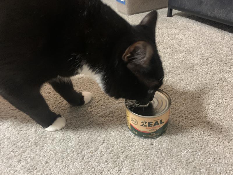 A High-Quality Treat My Cats Go Crazy Fo