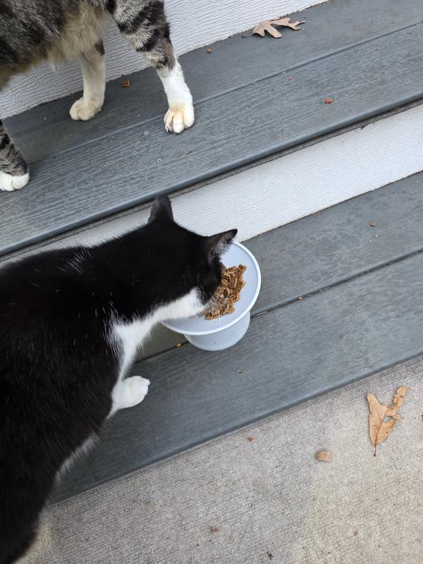 Air Dry Food