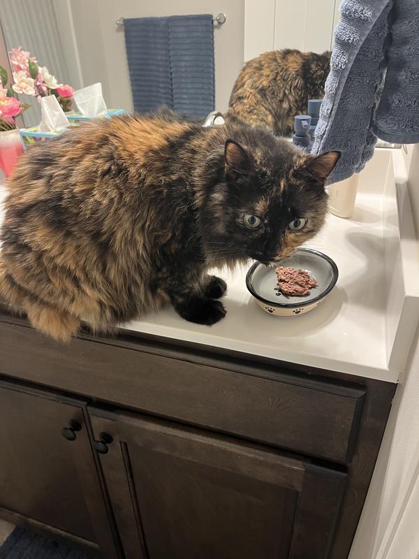 Excellent quality ! My cats love this food!