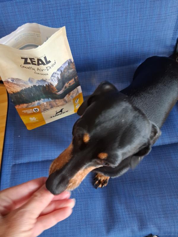 Picky Pup Gives Paw Up